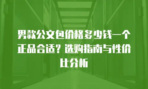 男款公文包价格多少钱一个正品合适？选购指南与性价比分析
