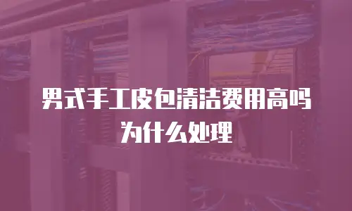 男式手工皮包清洁费用高吗为什么处理