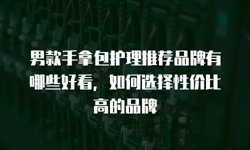 男款手拿包护理推荐品牌有哪些好看，如何选择性价比高的品牌