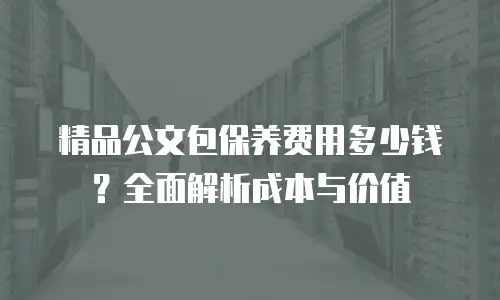 精品公文包保养费用多少钱？全面解析成本与价值