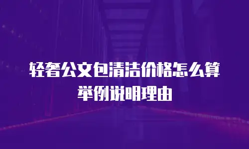 轻奢公文包清洁价格怎么算举例说明理由