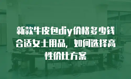 新款牛皮包diy价格多少钱合适女士用品，如何选择高性价比方案