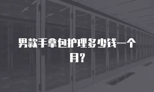 男款手拿包护理多少钱一个月？