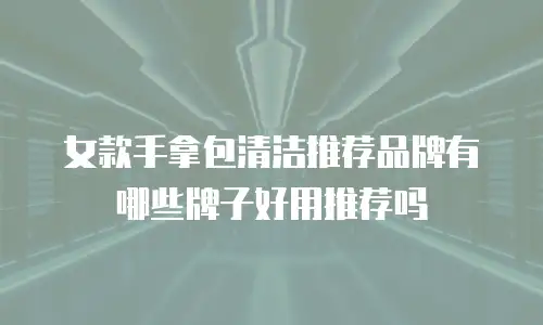 女款手拿包清洁推荐品牌有哪些牌子好用推荐吗