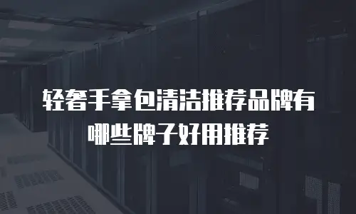 轻奢手拿包清洁推荐品牌有哪些牌子好用推荐