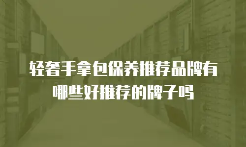 轻奢手拿包保养推荐品牌有哪些好推荐的牌子吗