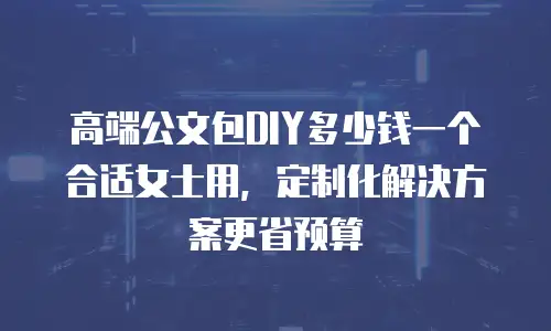 高端公文包DIY多少钱一个合适女士用，定制化解决方案更省预算