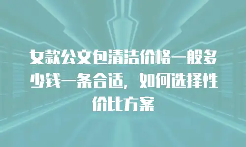 女款公文包清洁价格一般多少钱一条合适，如何选择性价比方案