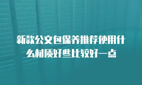 新款公文包保养推荐使用什么材质好些比较好一点