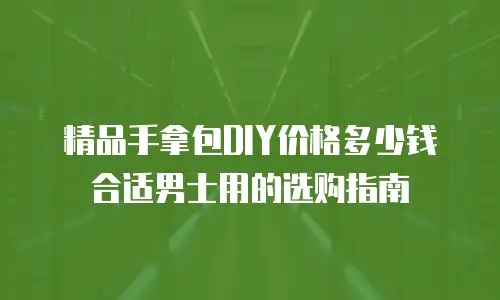 精品手拿包DIY价格多少钱合适男士用的选购指南