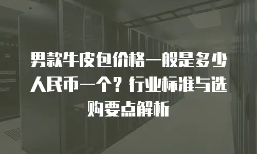 男款牛皮包价格一般是多少人民币一个？行业标准与选购要点解析