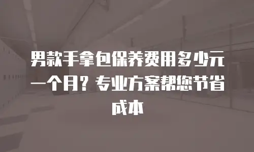 男款手拿包保养费用多少元一个月？专业方案帮您节省成本