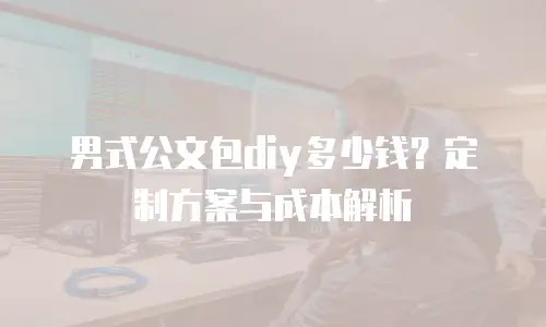 男式公文包diy多少钱？定制方案与成本解析