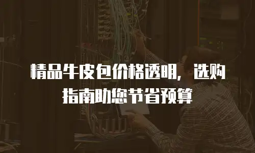 精品牛皮包价格透明，选购指南助您节省预算