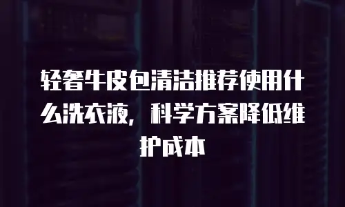 轻奢牛皮包清洁推荐使用什么洗衣液，科学方案降低维护成本