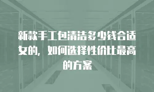 新款手工包清洁多少钱合适女的，如何选择性价比最高的方案