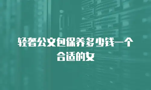 轻奢公文包保养多少钱一个合适的女
