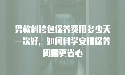 男款斜挎包保养费用多少天一次好，如何科学安排保养周期更省心