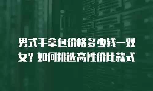 男式手拿包价格多少钱一双女？如何挑选高性价比款式