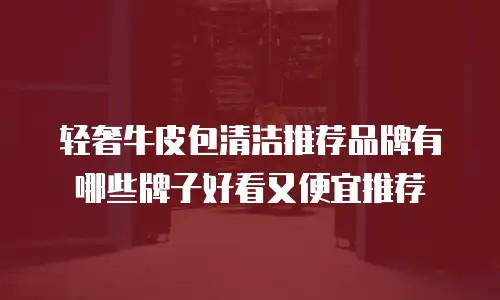 轻奢牛皮包清洁推荐品牌有哪些牌子好看又便宜推荐