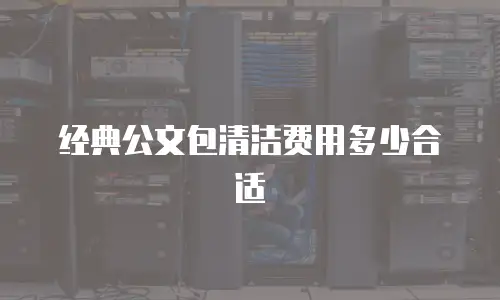 经典公文包清洁费用多少合适