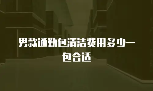 男款通勤包清洁费用多少一包合适