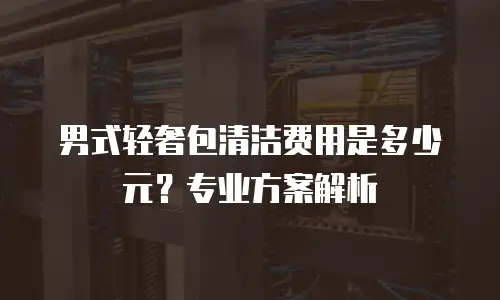男式轻奢包清洁费用是多少元？专业方案解析