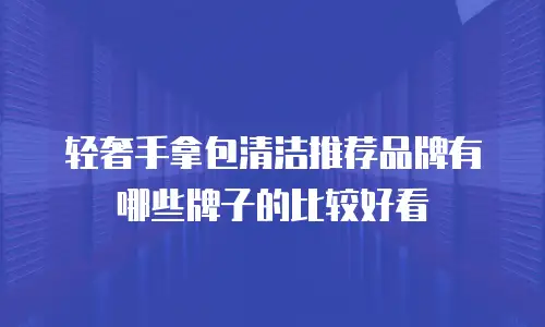 轻奢手拿包清洁推荐品牌有哪些牌子的比较好看