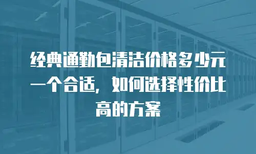 经典通勤包清洁价格多少元一个合适，如何选择性价比高的方案