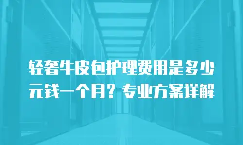 轻奢牛皮包护理费用是多少元钱一个月？专业方案详解
