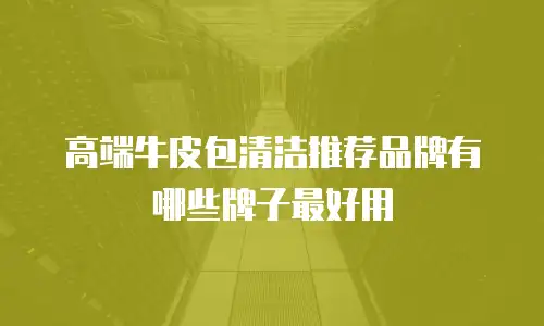 高端牛皮包清洁推荐品牌有哪些牌子最好用