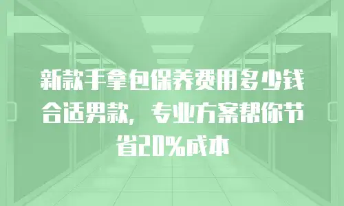 新款手拿包保养费用多少钱合适男款，专业方案帮你节省20%成本