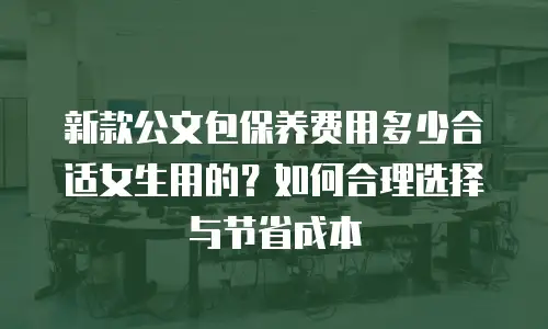 新款公文包保养费用多少合适女生用的？如何合理选择与节省成本