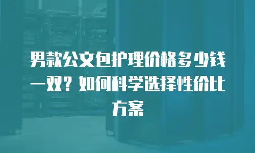 男款公文包护理价格多少钱一双？如何科学选择性价比方案