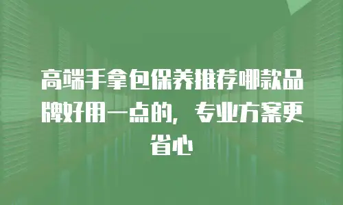 高端手拿包保养推荐哪款品牌好用一点的，专业方案更省心