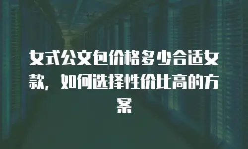 女式公文包价格多少合适女款，如何选择性价比高的方案