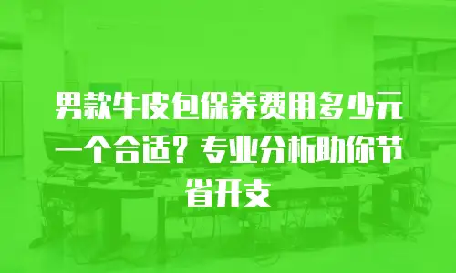 男款牛皮包保养费用多少元一个合适？专业分析助你节省开支