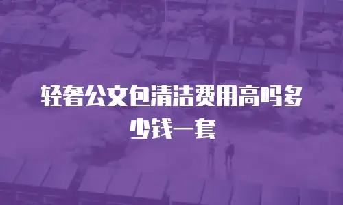 轻奢公文包清洁费用高吗多少钱一套