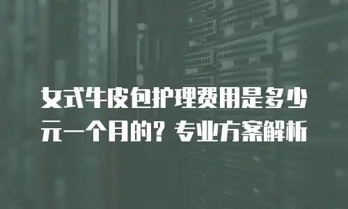女式牛皮包护理费用是多少元一个月的？专业方案解析