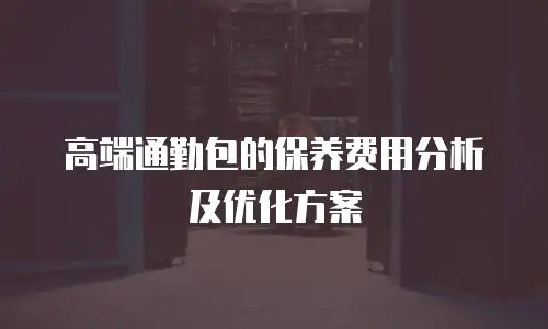 高端通勤包的保养费用分析及优化方案