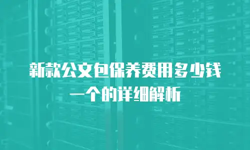 新款公文包保养费用多少钱一个的详细解析