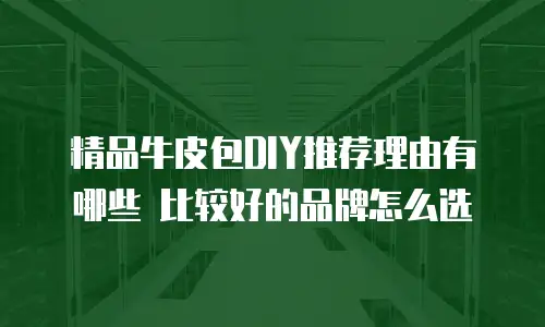 精品牛皮包DIY推荐理由有哪些 比较好的品牌怎么选