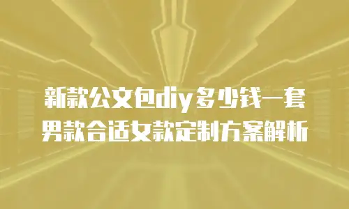 新款公文包diy多少钱一套男款合适女款定制方案解析
