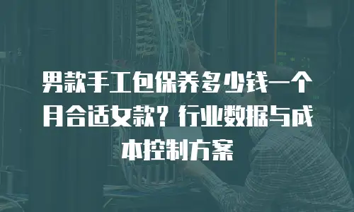 男款手工包保养多少钱一个月合适女款？行业数据与成本控制方案