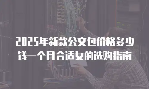 2025年新款公文包价格多少钱一个月合适女的选购指南