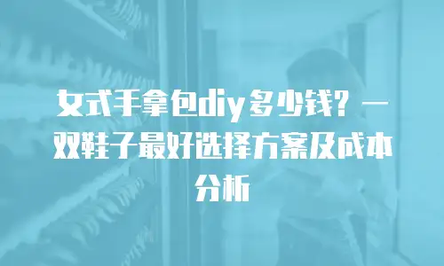 女式手拿包diy多少钱？一双鞋子最好选择方案及成本分析