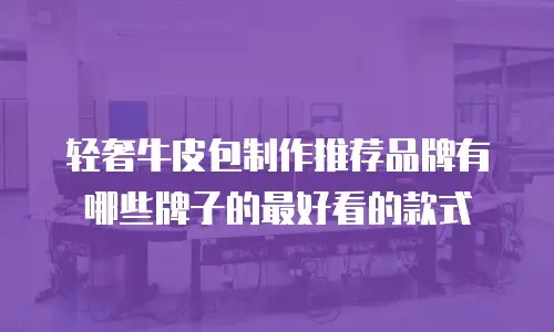 轻奢牛皮包制作推荐品牌有哪些牌子的最好看的款式