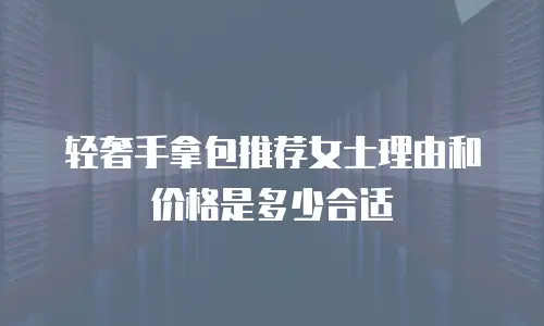 轻奢手拿包推荐女士理由和价格是多少合适