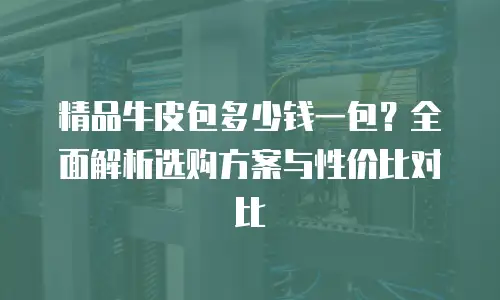 精品牛皮包多少钱一包？全面解析选购方案与性价比对比