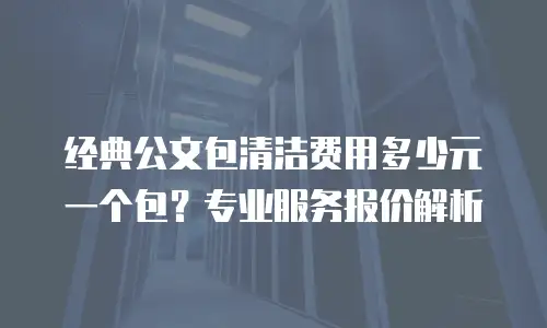经典公文包清洁费用多少元一个包？专业服务报价解析